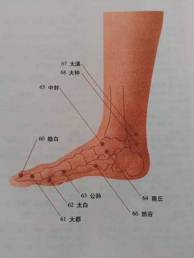 一份很全面的全身穴位图解 一定要收藏