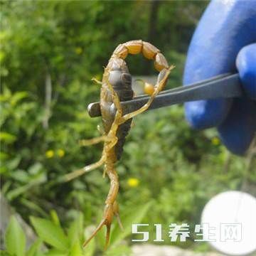 小时候靠“这些”赚零花钱，农村娃都干过，除非你是假农村人