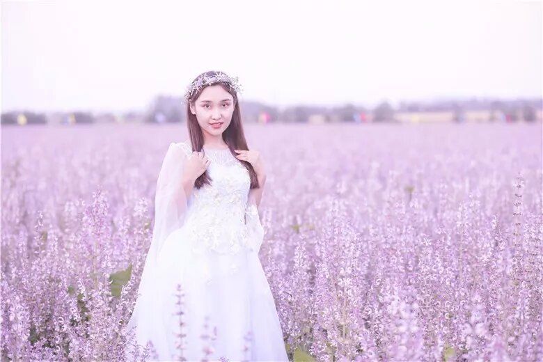 新疆温泉县第二届香紫苏文化旅游节--浪漫紫苏