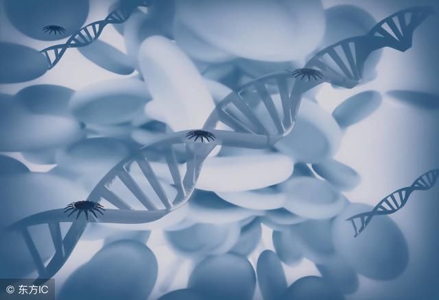 纳米鼻,可以用来探测有毒的二氧化氮和氨气