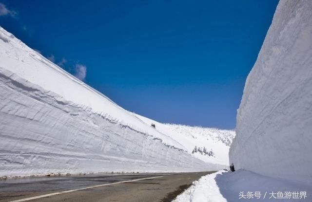 活用JR PASS，省钱游遍日本秋田青森樱花百选之地