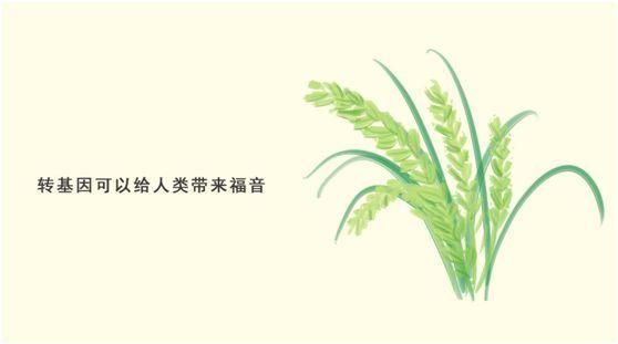 辟谣特工队 | 转基因食物竟然让我多了一段基因?