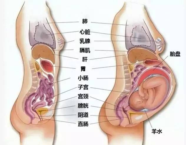 t01a2495af763d78bf0.jpg