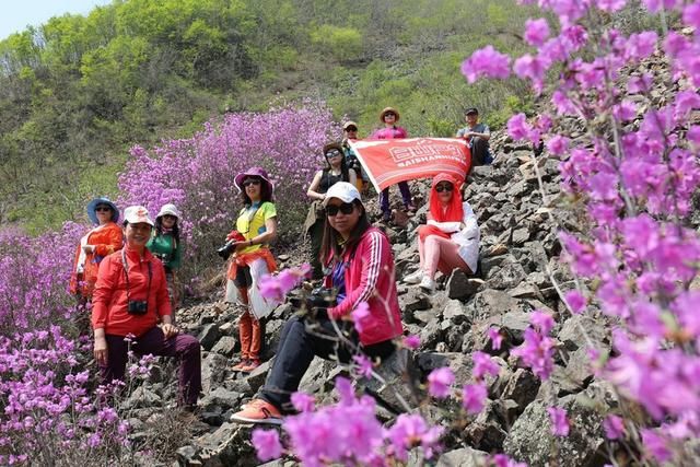 白山户外群关门砬子观映山红休闲一日游