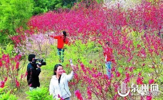 泉州又要火了！乘风破浪的姐姐来录团综，还将......