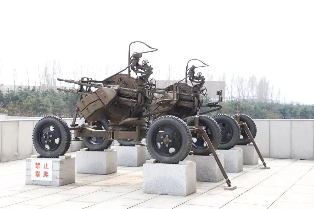 青春心向党 建功新时代特别主题团日活动之长