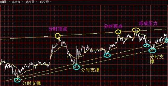 一位股市天才家告诉你，为什么中国股市的散户总是在亏钱？