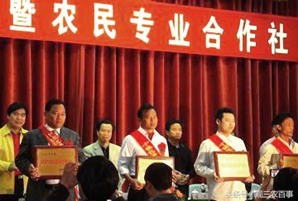 农村富起来的都是哪些农民?