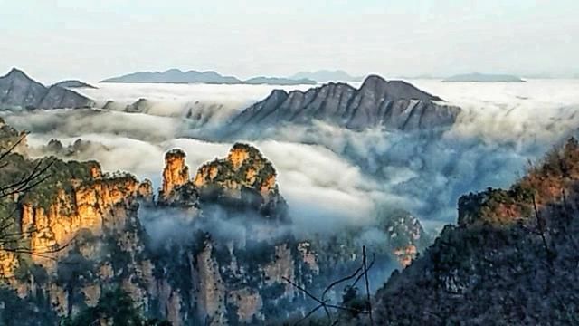 张家界天门山、张家界森林公园、杨家界、天子山三日游