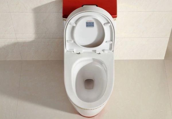 才装一年的马桶天天堵着不下水!一看问题出在