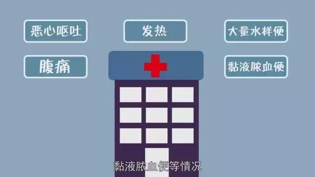 过年必备的健胃消食片竟然还有减肥功效！真的假的？