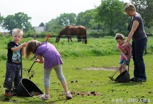德国幼儿园3年只学了这些,中国父母应该从中受