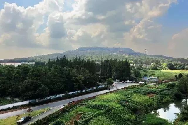 南京这些超适合一日游的地方,每一个都美如画!不看要后悔!