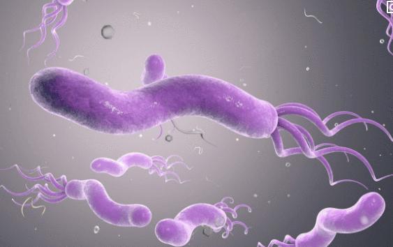 感染上幽门螺杆菌, 身体可能会出现2臭1疼症