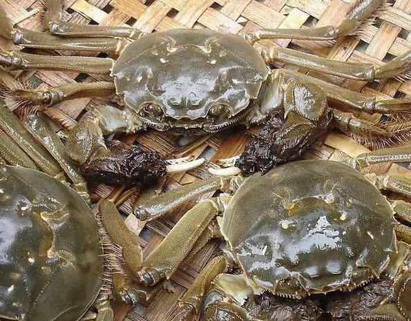 老外认为最难吃的中国美食,说出来吃货的心都