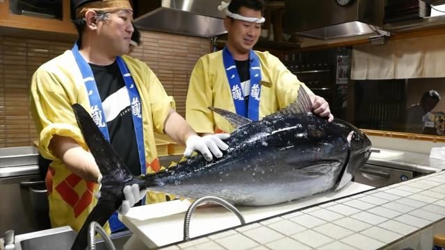 100斤的顶级金枪鱼，日本五星级大厨用7刀就切好，太厉害了！