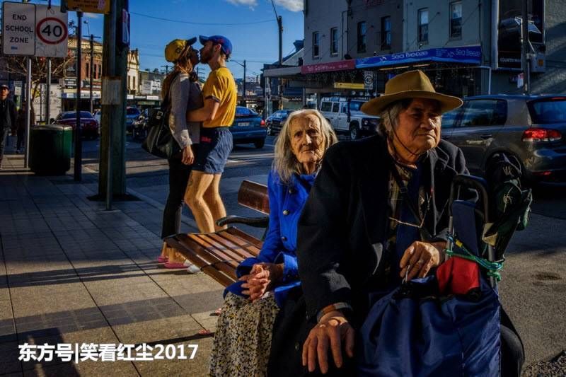 来自澳大利亚的有趣照片 来自澳洲的那些趣事，袋鼠乱穿马路，蛇