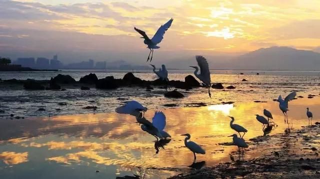 秋高气爽,深圳周末假期8个地方游玩好去处!