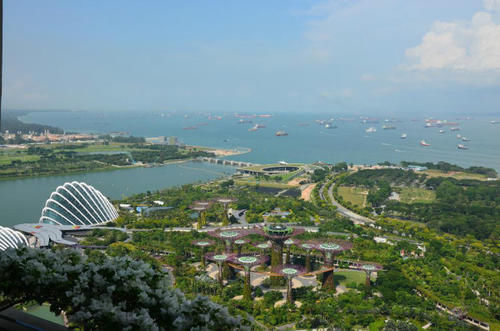 全家总动员新加坡旅游购物和狂欢