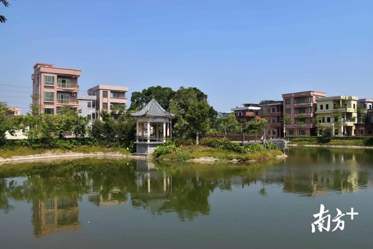 农村振兴组织振兴