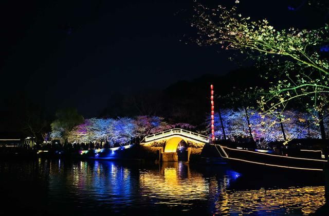 太湖鼋头渚夜赏樱花游园会:一场视觉与听觉的“饕餮盛宴”