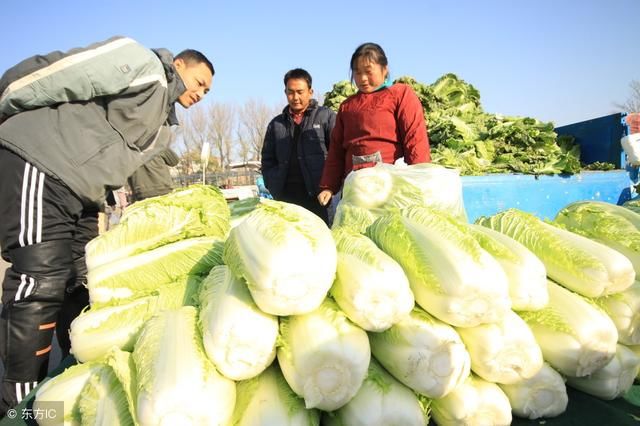 2018年，普通农户还能种植粮食吗？看完这几点再做决定可避免损失