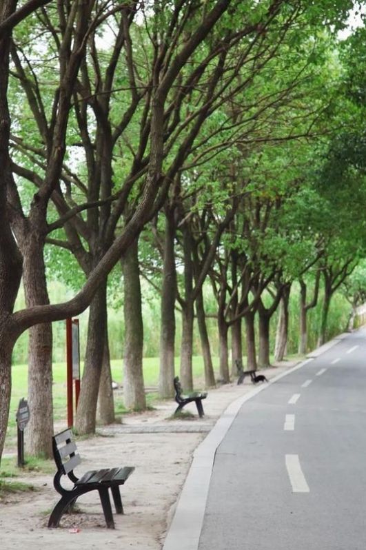 上海地址随便来一个