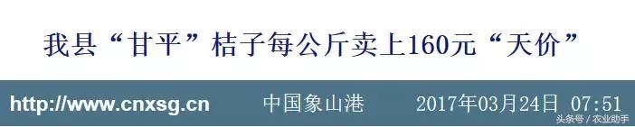 疯狂柑橘催生“天价枝条”，谁才是最后获益者？