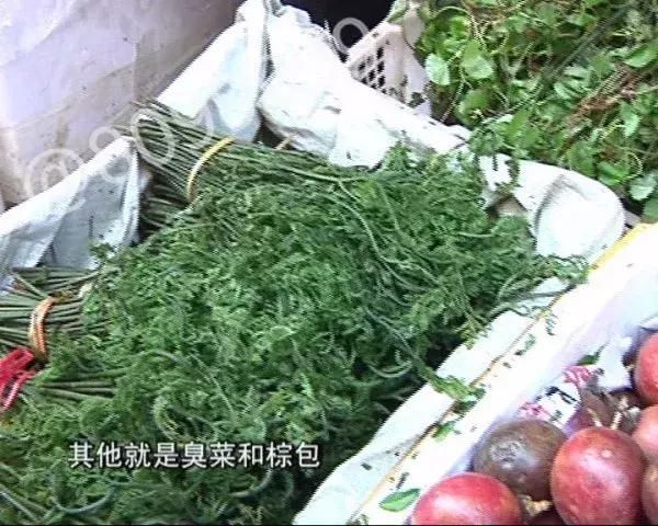 野菜上市成“新宠” 价格“赛过”羊肉