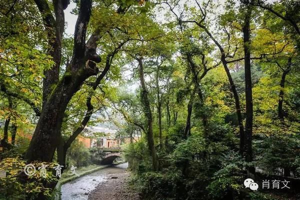 这个寺庙是济公的老家，免门票，韩国日本都认它为祖庭