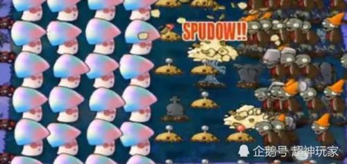 僵尸玩家化敌为友,轻松打败僵尸博士,魅惑菇搞