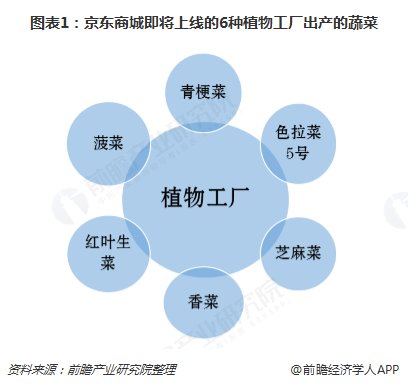 菜种植行业发展新增和市场趋势分析 京东自建