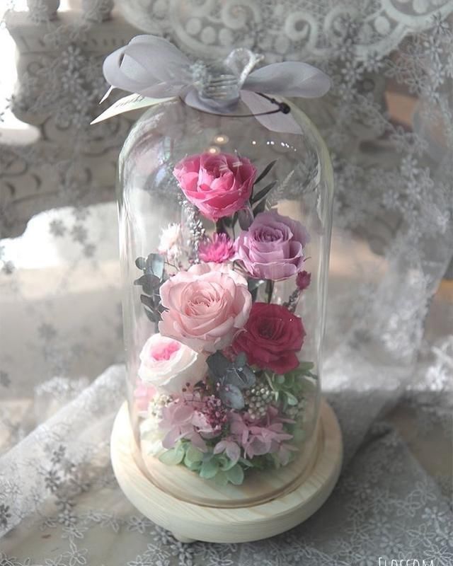 什么是永生花?带你走进永生花的奇妙世界