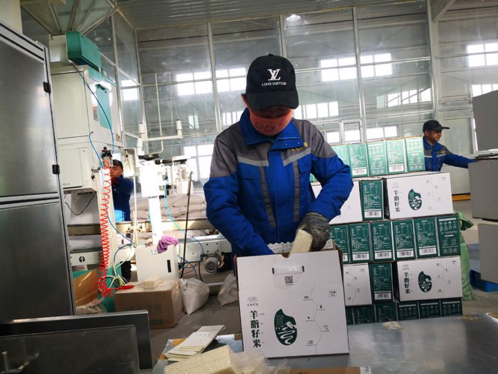 阿拉尔市属于哪个地区