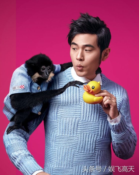 学历对明星重要吗?蔡徐坤仅高中毕业,周杰伦没