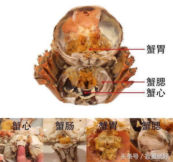 大闸蟹真好吃, 但是你知道螃蟹“四不吃”么？