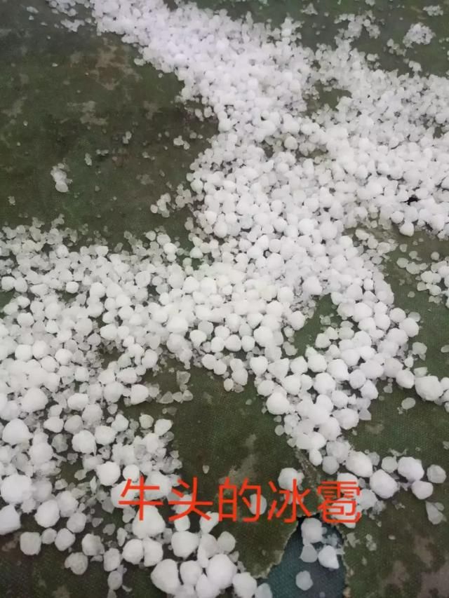 昨天山东多地遭冰雹袭击,春暖花开季节却为何