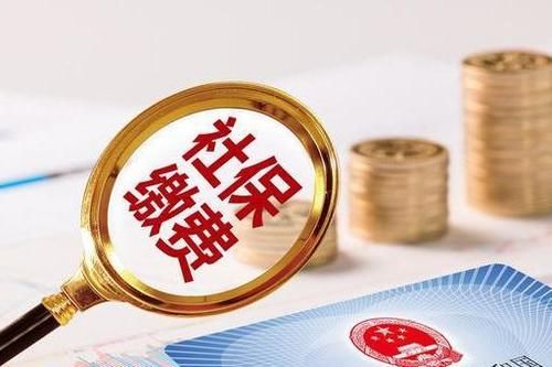 公司交社保