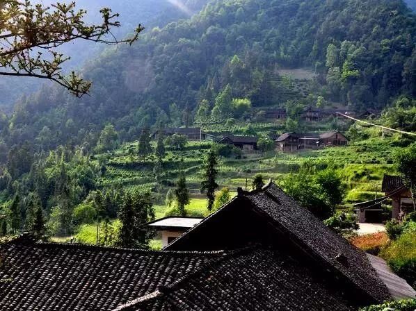 三月花开正艳,宜昌各地踏青赏花活动异彩纷呈