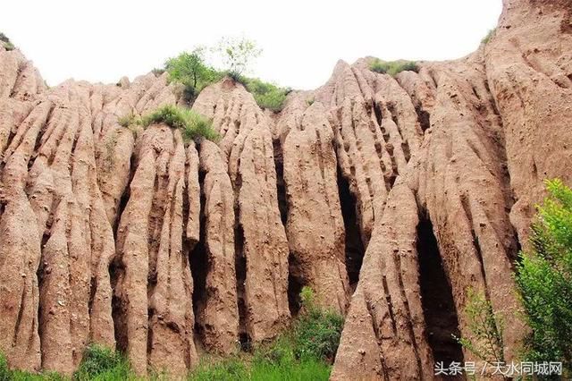 天水有一个地方，山清水秀、满山杏花，却很少有人知道