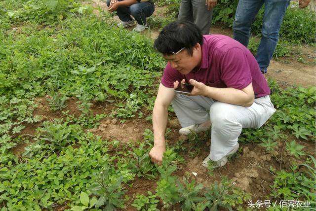 在农村赢得尊重，需要付出多大的努力，怎么做才能出力又讨好呢?