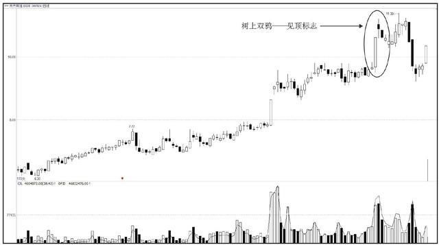 一位老股民揭秘中国股市缺口买卖绝技，炒股一辈子稳定收益