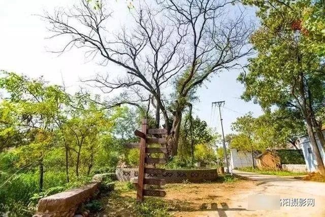 洛阳孟津几绝美古村落！从市区一天打来回还免费！