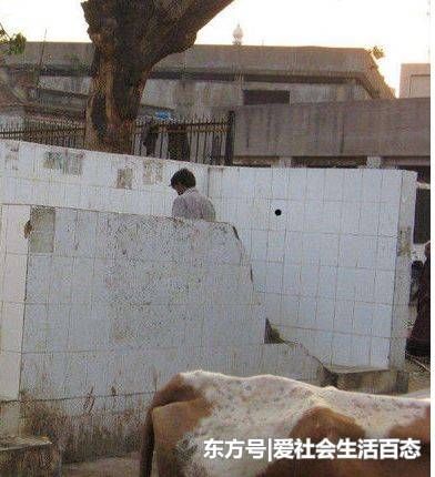 这里男女睡一起，女人都毫无避讳，每天什么都不干