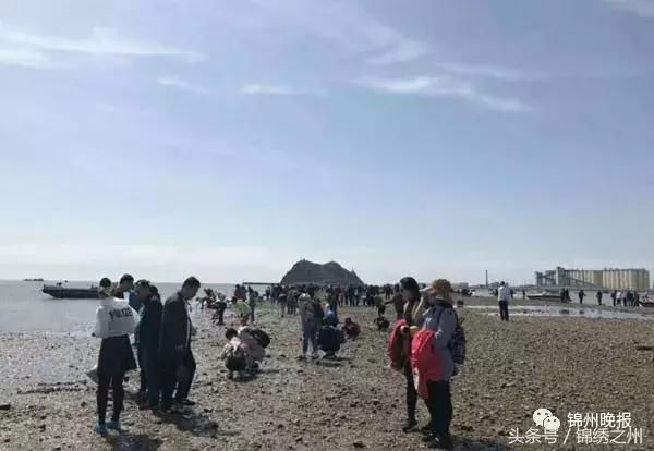 5月锦城风景如画！快来开启浪漫滨海之旅！