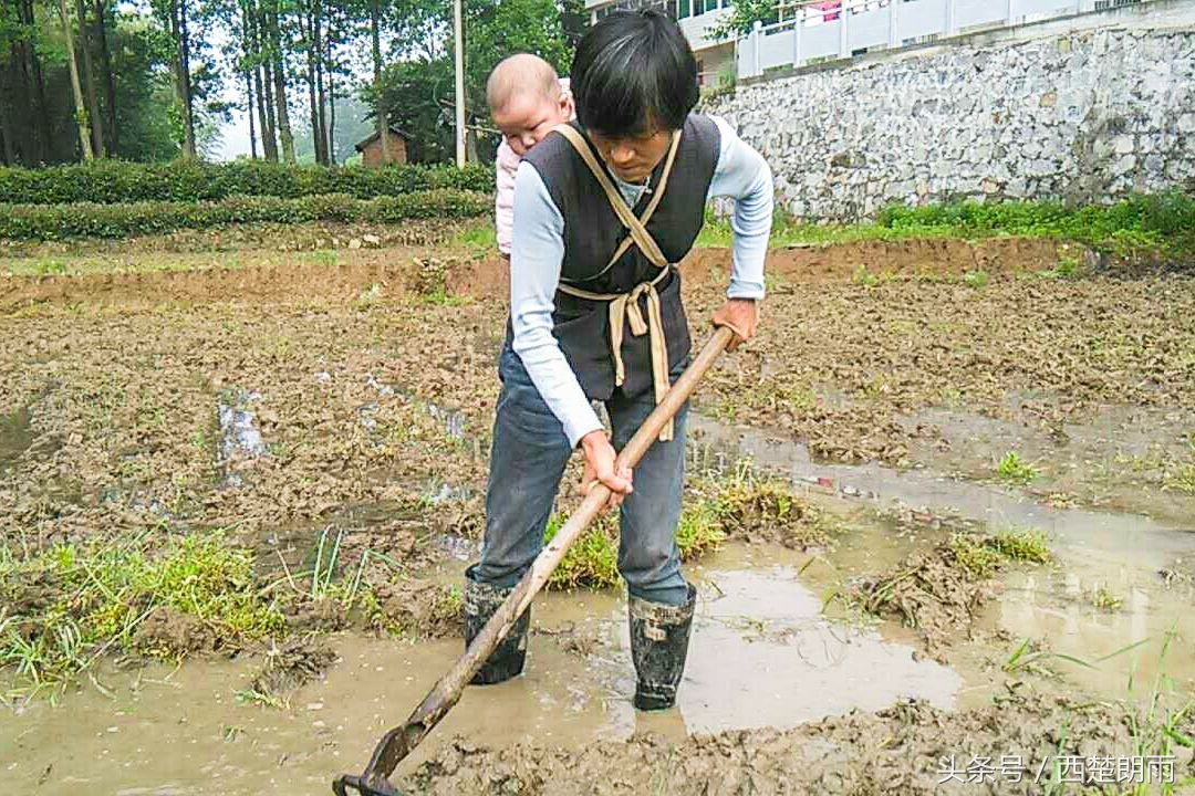 神母瘤男童又患白血病世界罕见 干苦力背娃采茶全家搏命救孩子