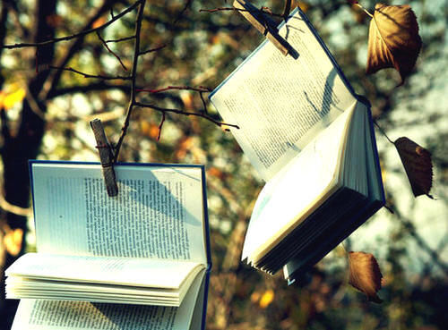 拍摄短视频内容