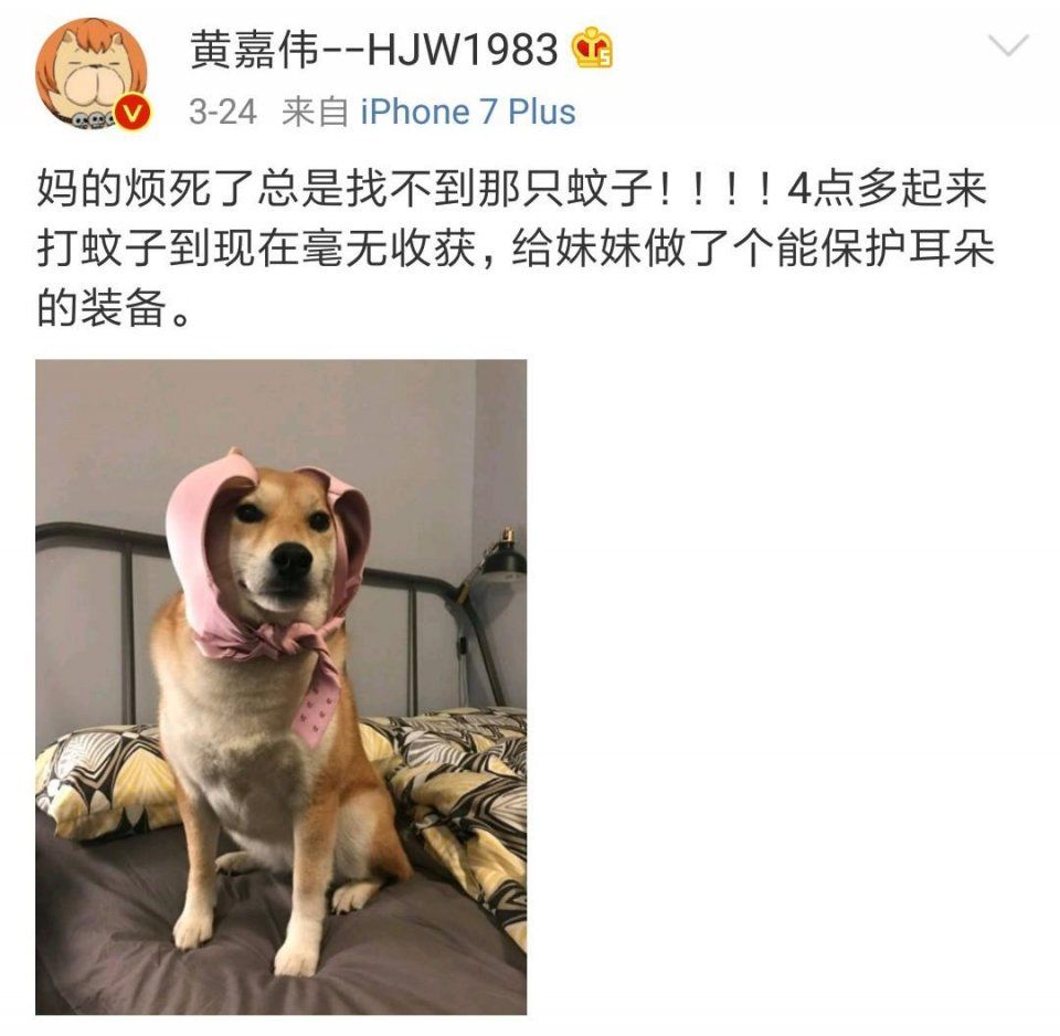 婚内出轨19岁前女团成员，还侮辱发妻胖矮贱，渣男嘴脸太恶心