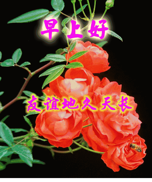 最新早晨好表情傻子很可爱早晨好v表情语暖动态包哭表情的图片大全图片