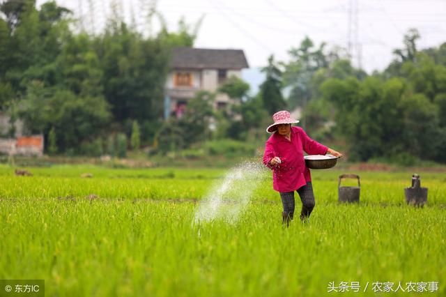 农民没地怎么办？这3种方案，你可以试试